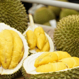 Alternative view of Vietnamese Durian